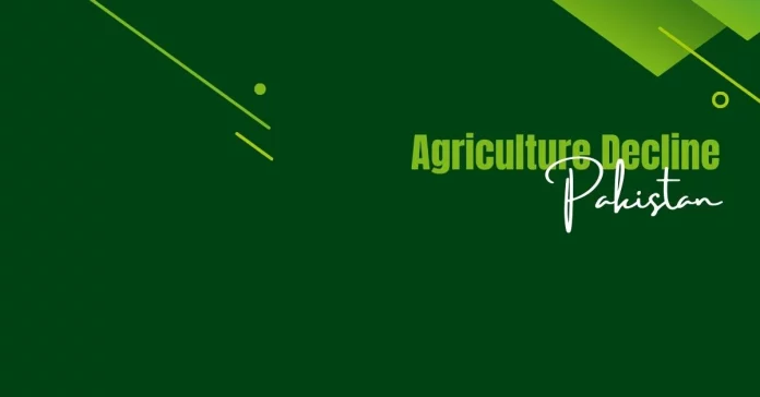 Agriculture Decline in Pakistan