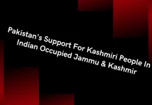 Pakistan’s Efforts to Highlight the Plight of Kashmiri People in Indian-Occupied Jammu and Kashmir Kashmir issue